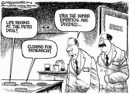 http://www.thestemcellblog.com/wp-content/uploads/2011/01/stem_cells_cartoon.jpg